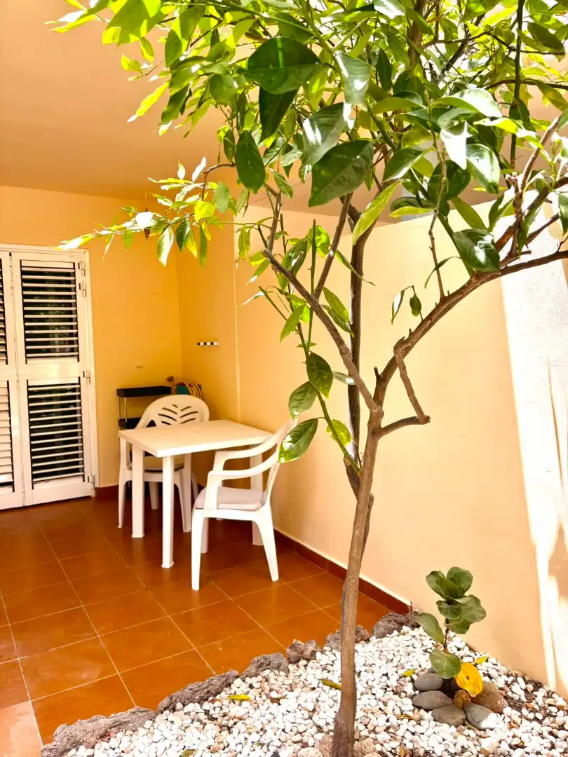 Piso de 11070 m² en Adeje