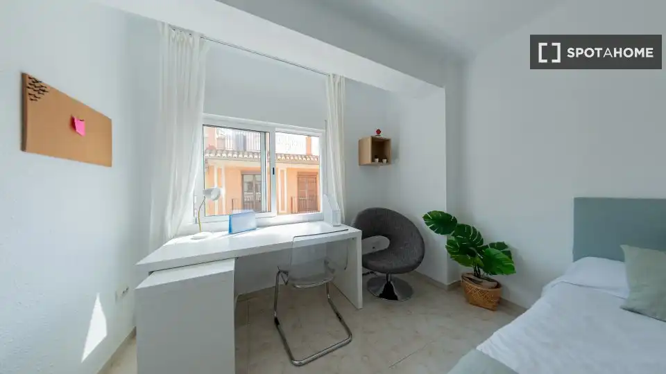 Stanza in affitto, Valencia