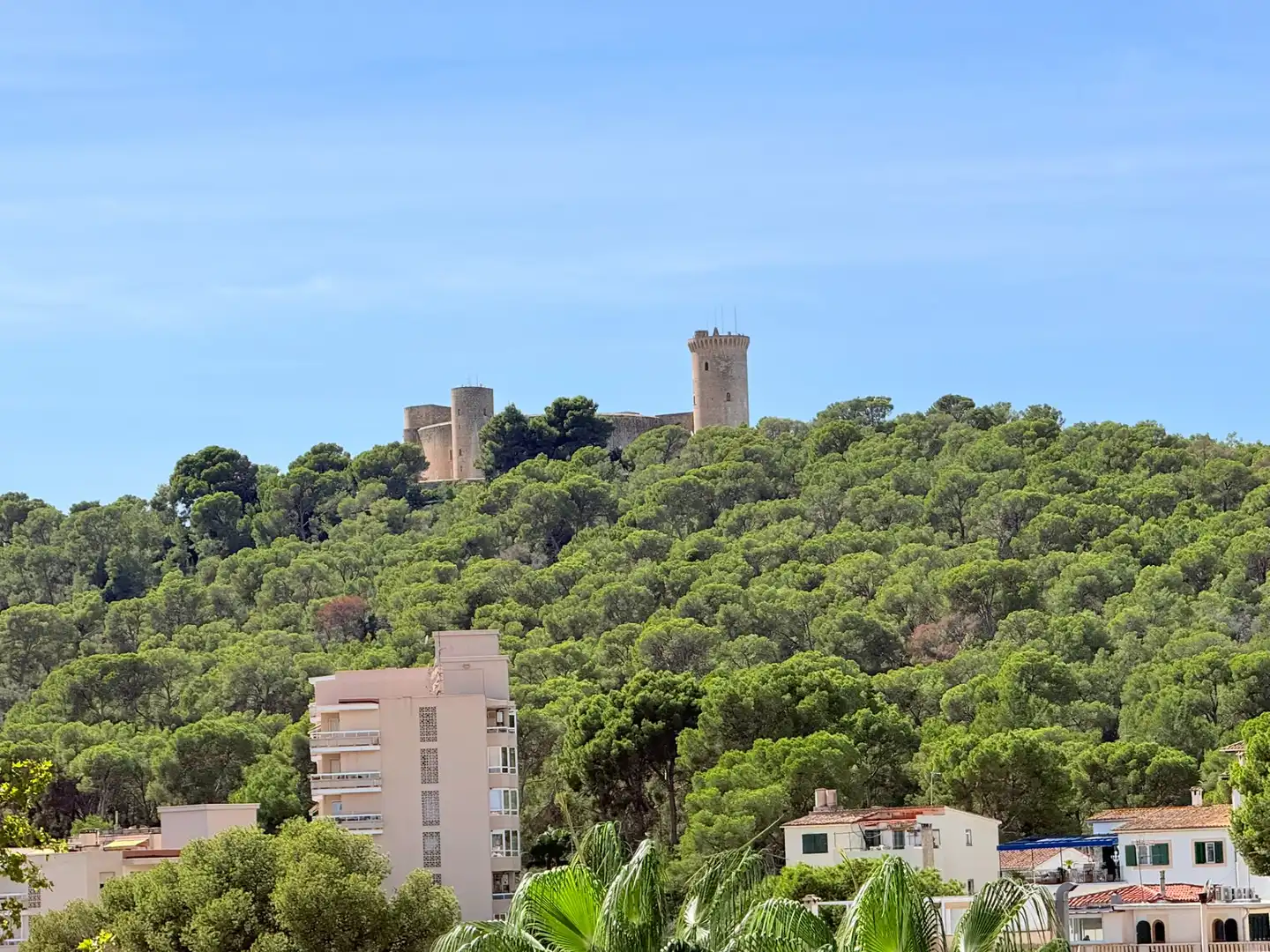 Appartamento 320 m² a Palma