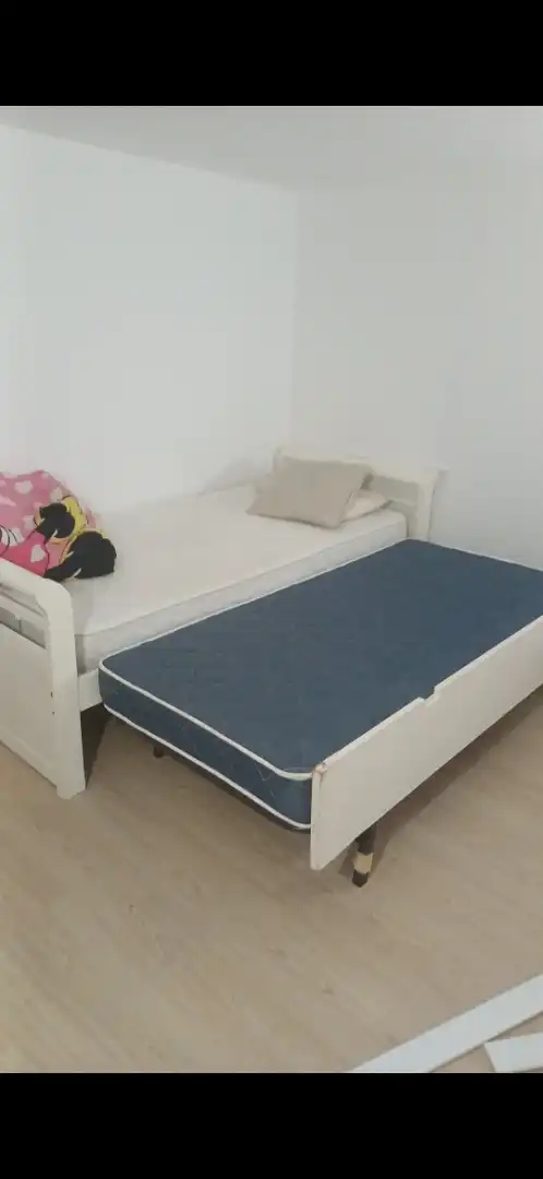 Habitació de lloguer, Algesires