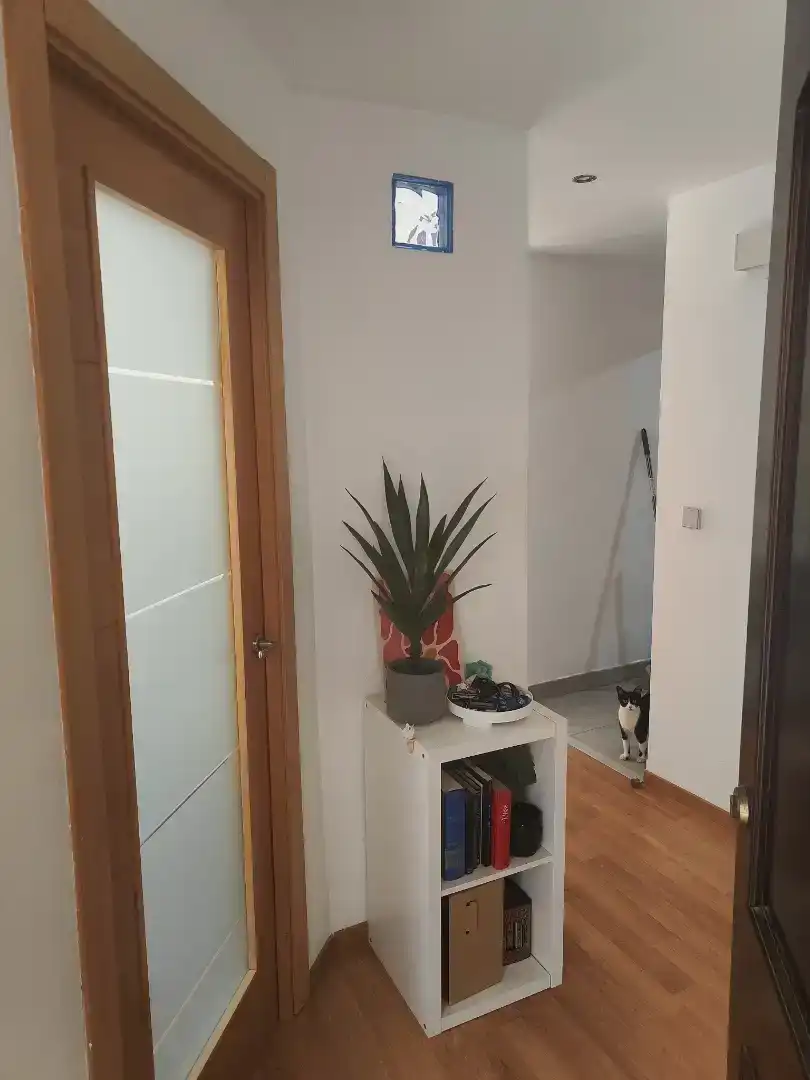 Habitación 50 m², Sevilla