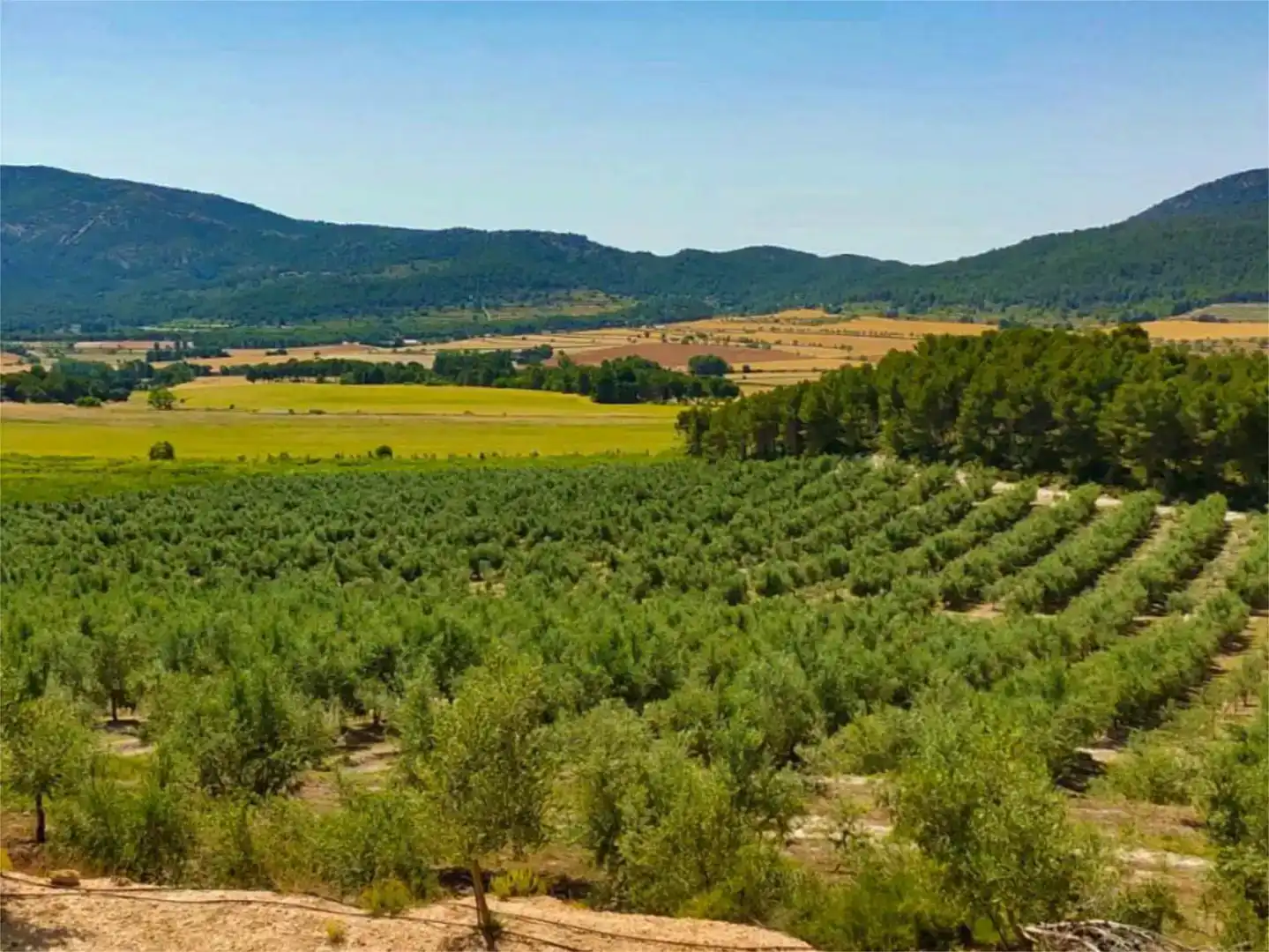 Piso de 560 m² en Alcoy
