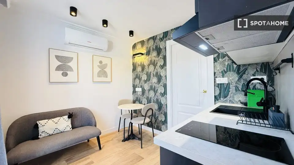 Habitación 46 m², Granada
