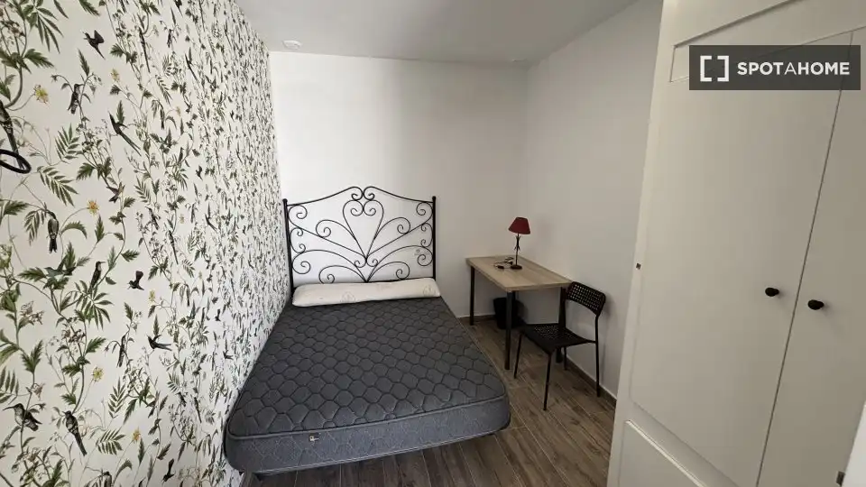 Habitació de lloguer, Cádiz