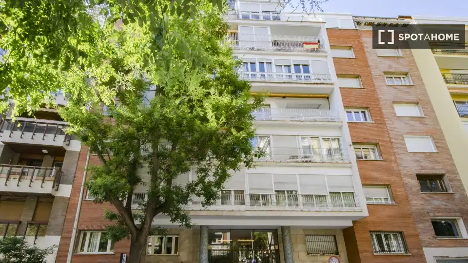 Chambre à louer, Madrid