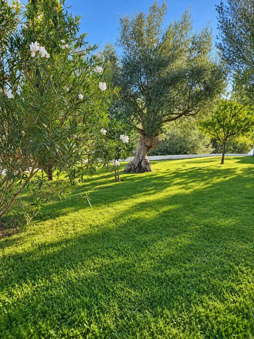 Casa de 140 m² en Andratx