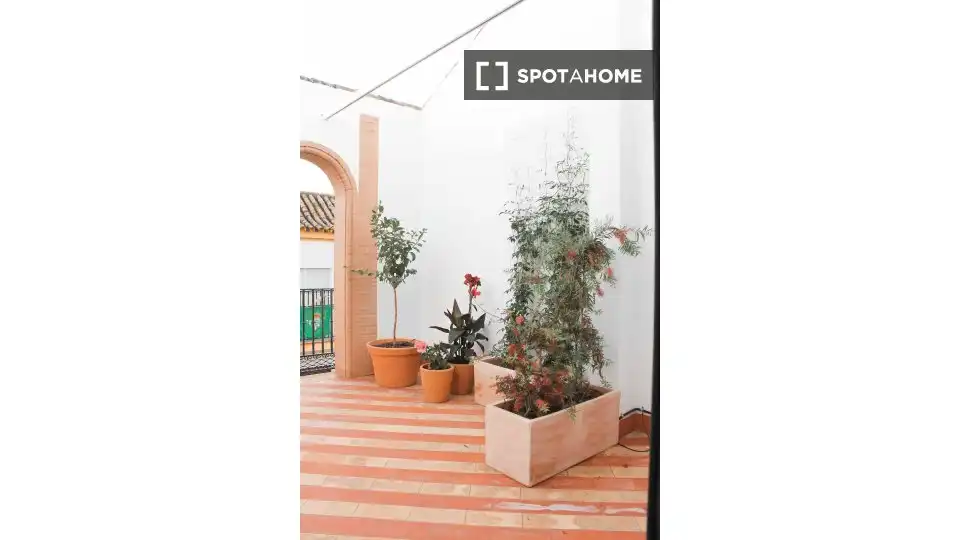 Habitación 35 m², Sevilla