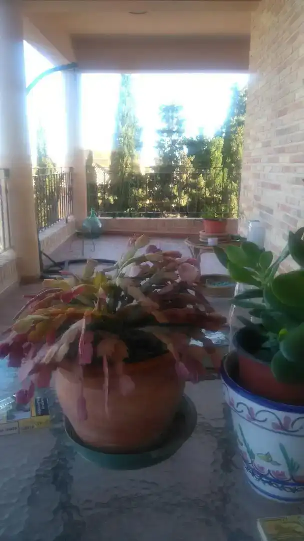 Casa de 190 m² en Orihuela