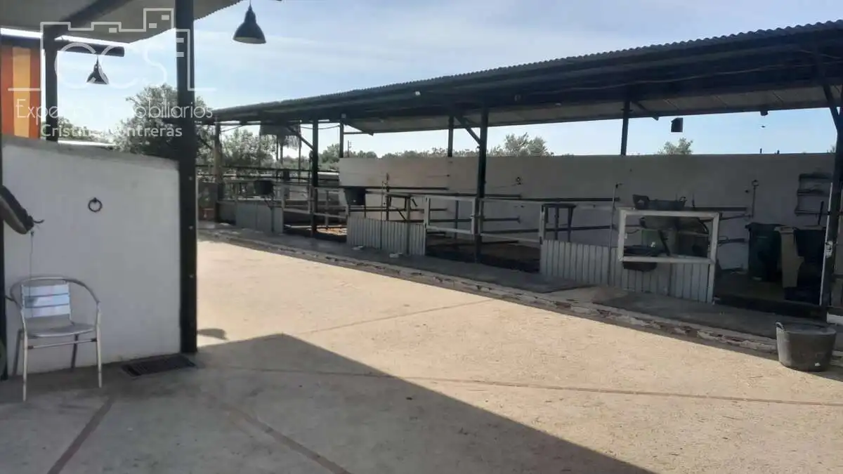 Casa de 100 m² en Almonte