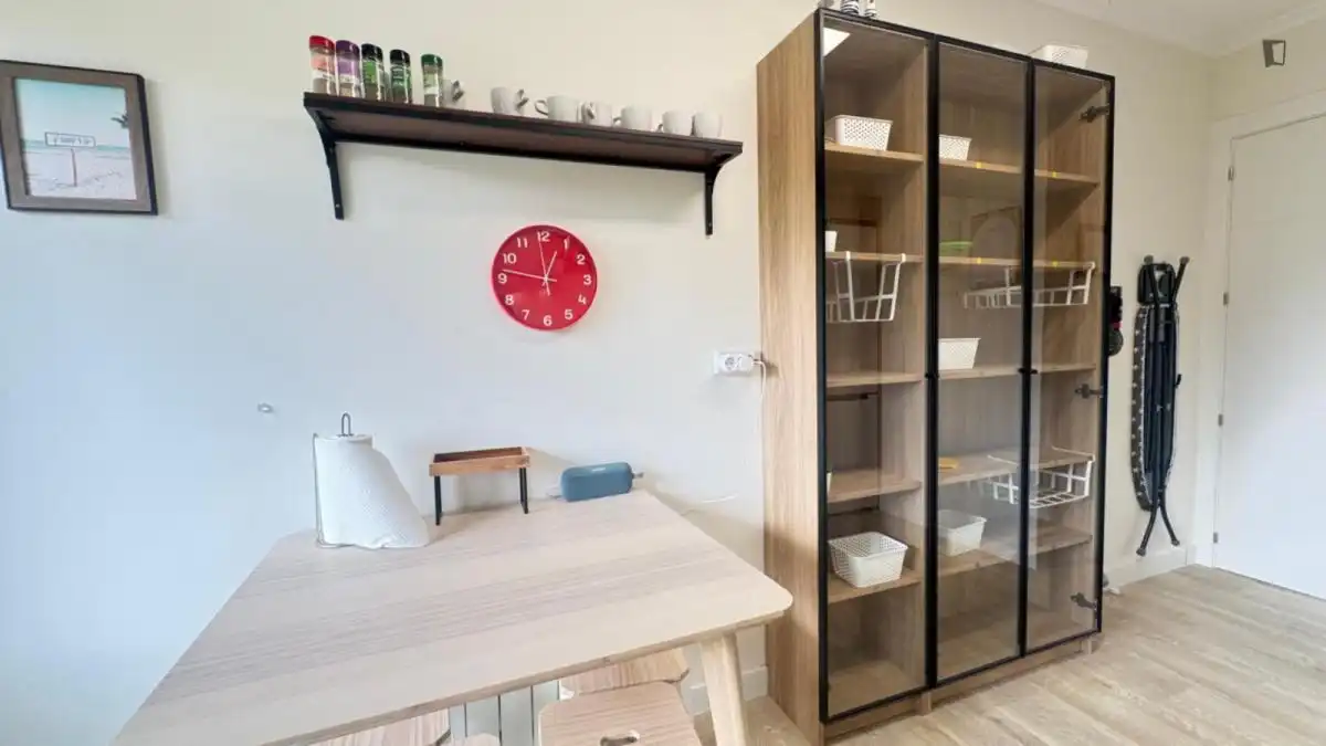 Habitació de lloguer, Bilbao