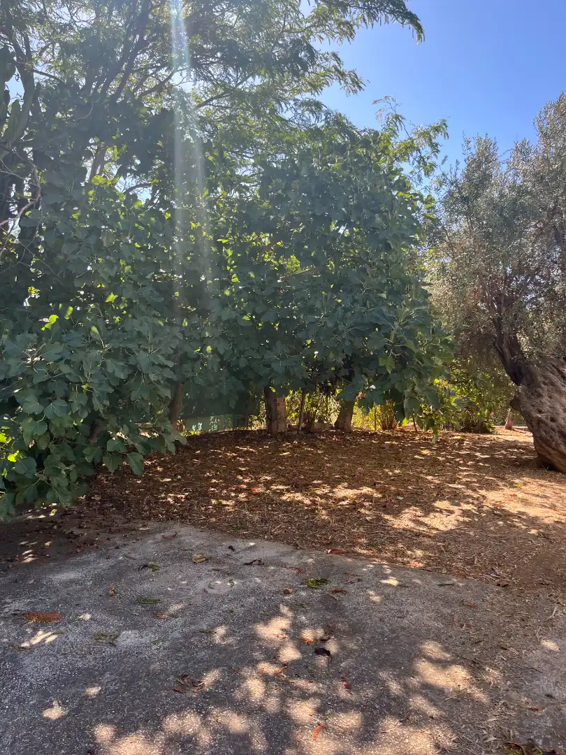Haus 90 m² in Alhaurín de la Torre