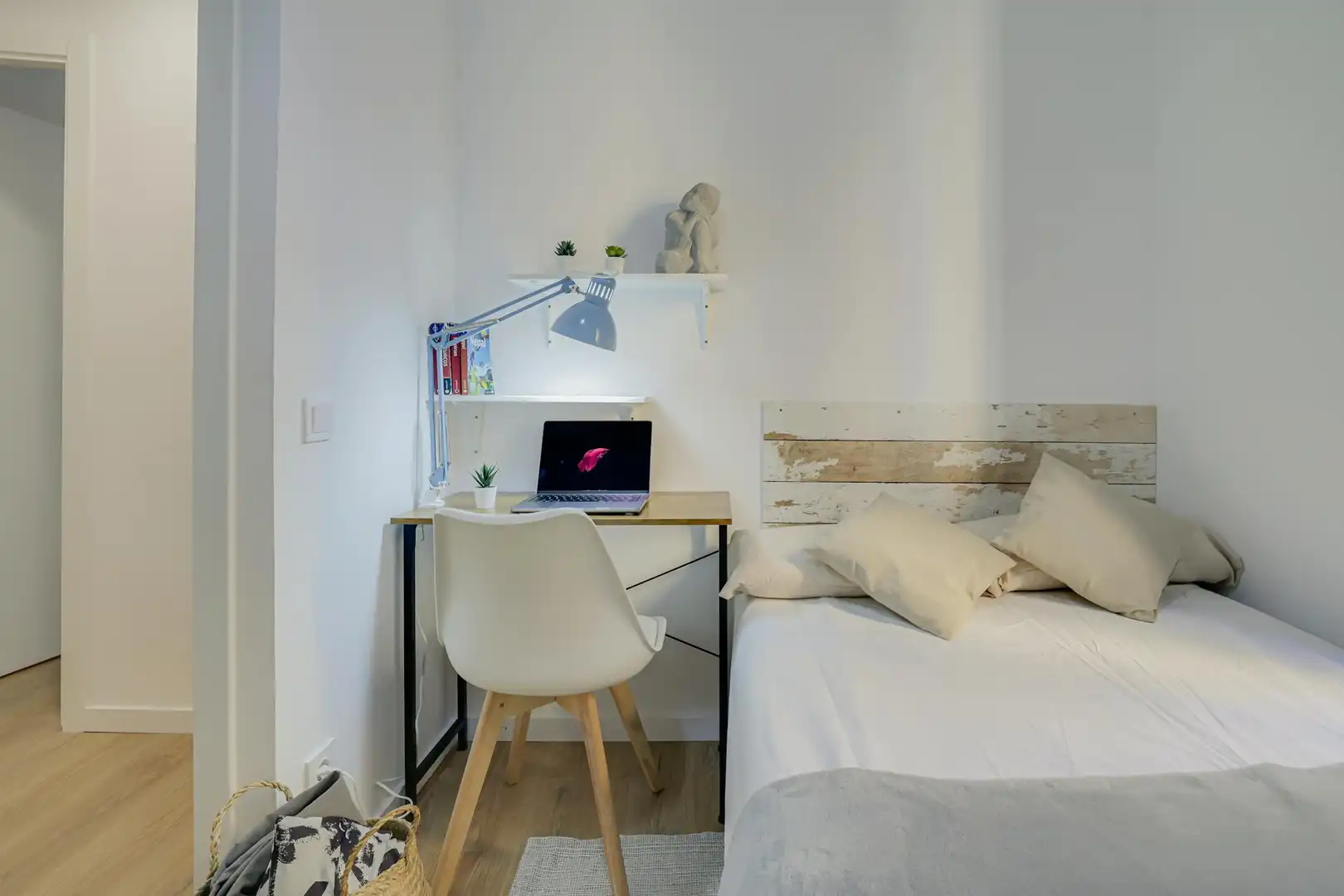 Stanza in affitto, Barcelona