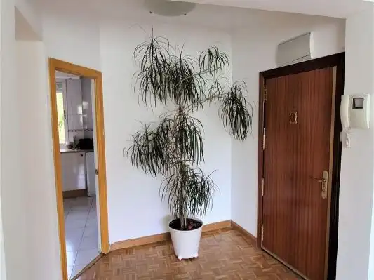 Habitación 50 m², Las Palmas de Gran Canaria