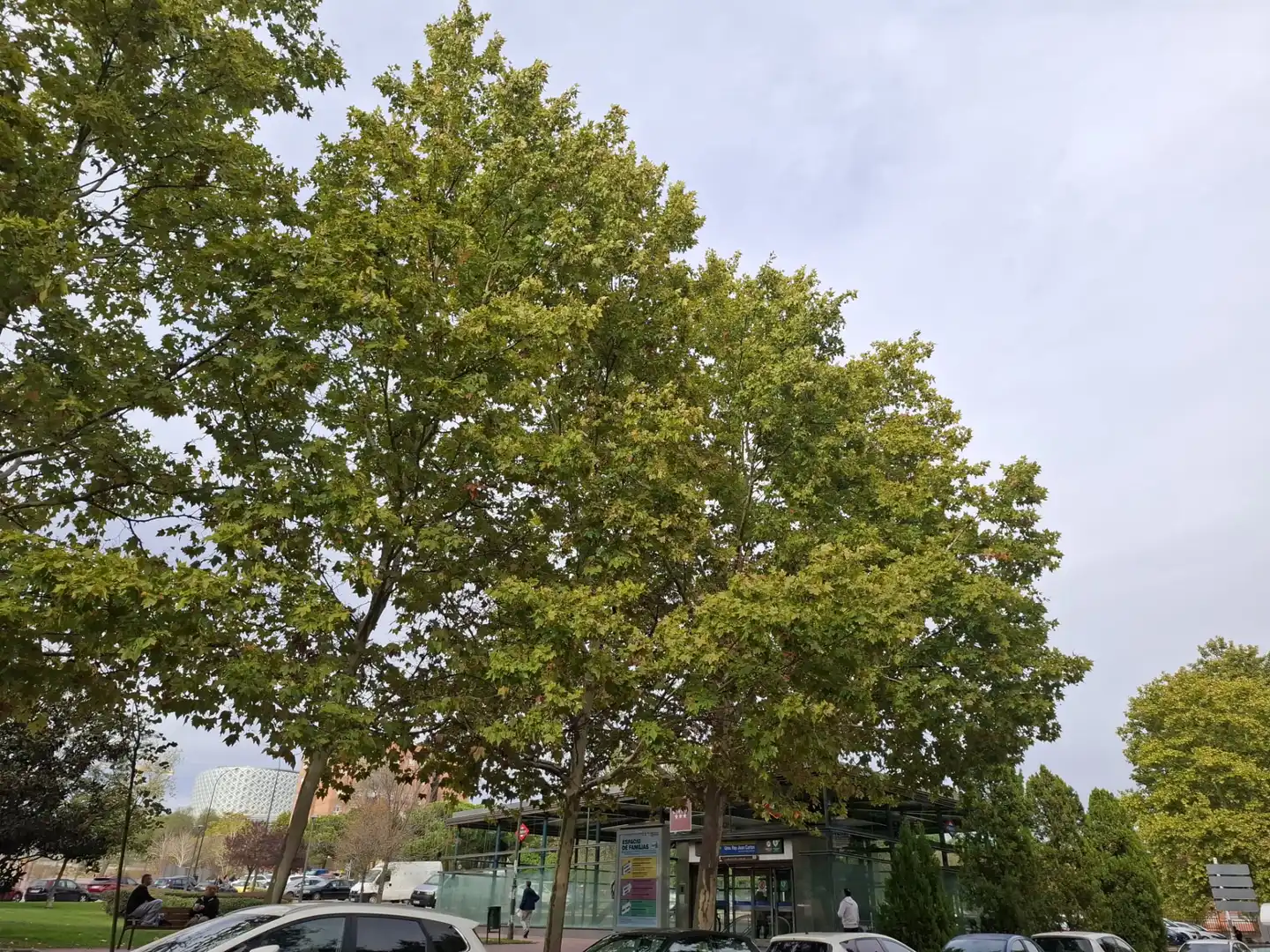 Apartamento 65 m² em Móstoles