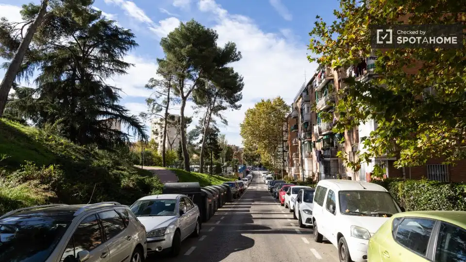 Кімната в оренду, Madrid