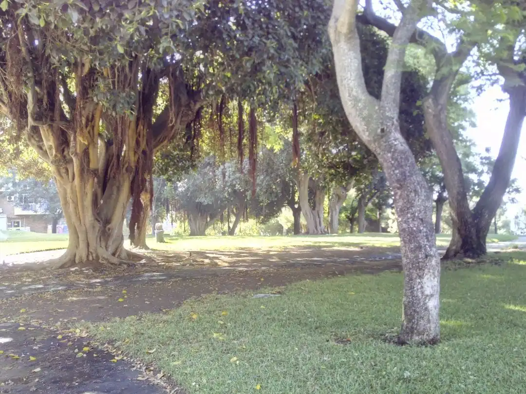 Pis de 50 m² a Benalmádena