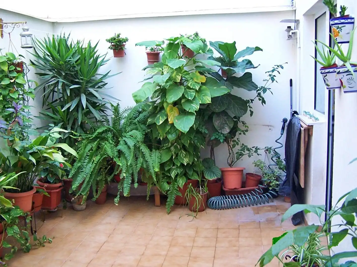 Pis de 79 m² a Alacant