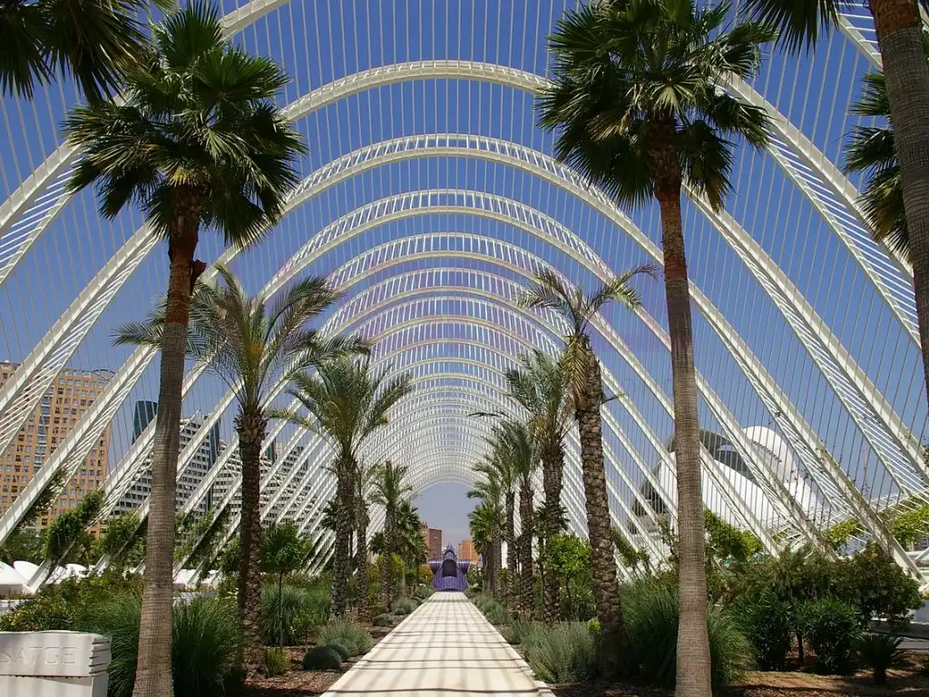 Habitació de lloguer, València
