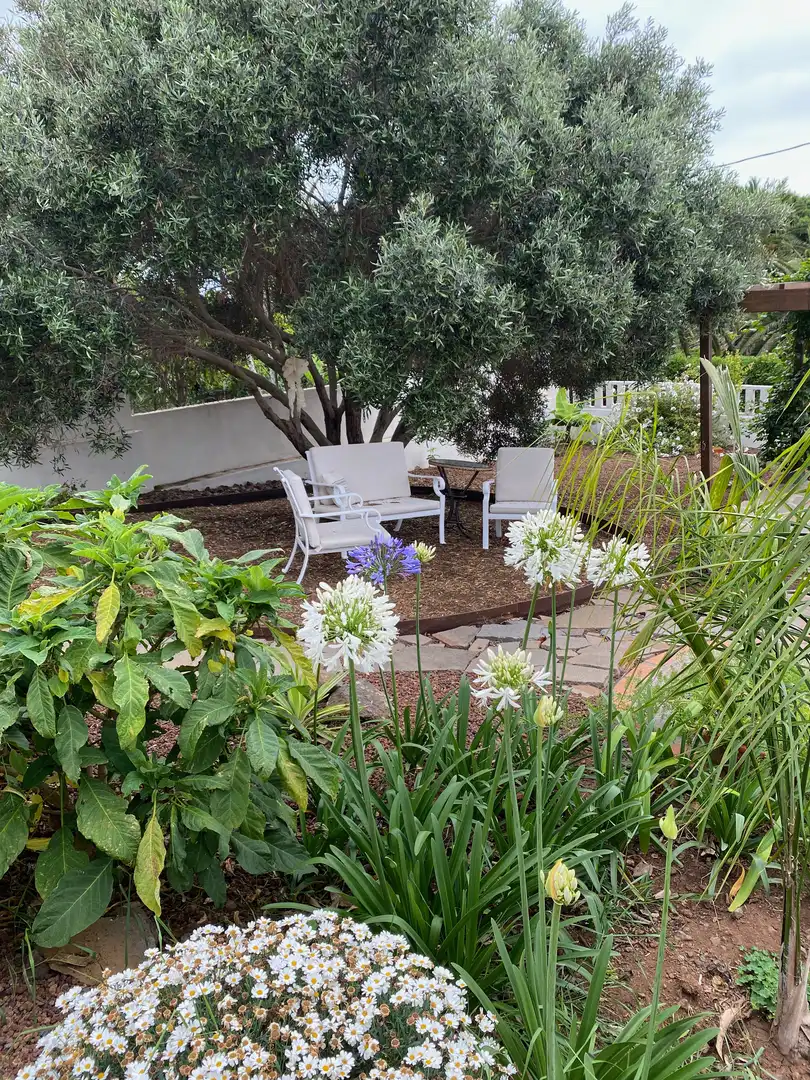 Piso de 170 m² en Tacoronte