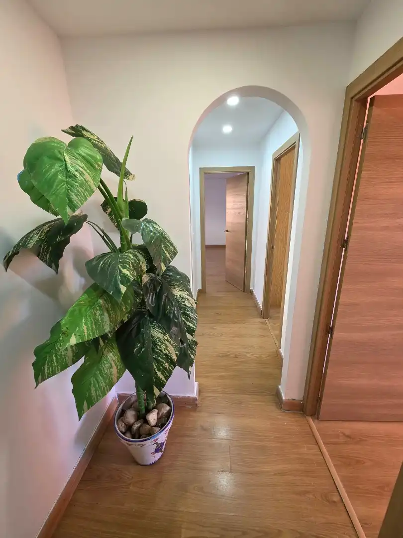 Zimmer zur Miete, Oviedo