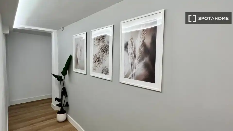 Habitació de lloguer, Madrid