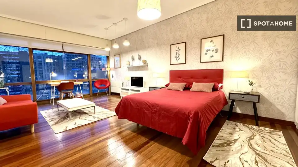 Habitació de lloguer, Bilbao