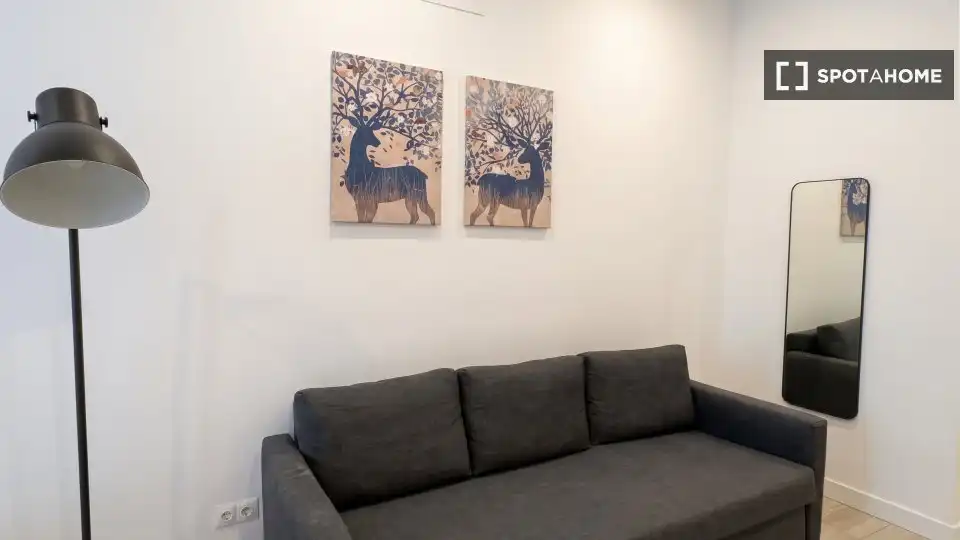 Pis de 32 m² a Madrid