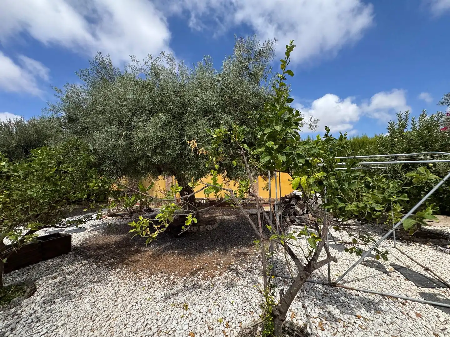 Haus 175 m² in el Campello