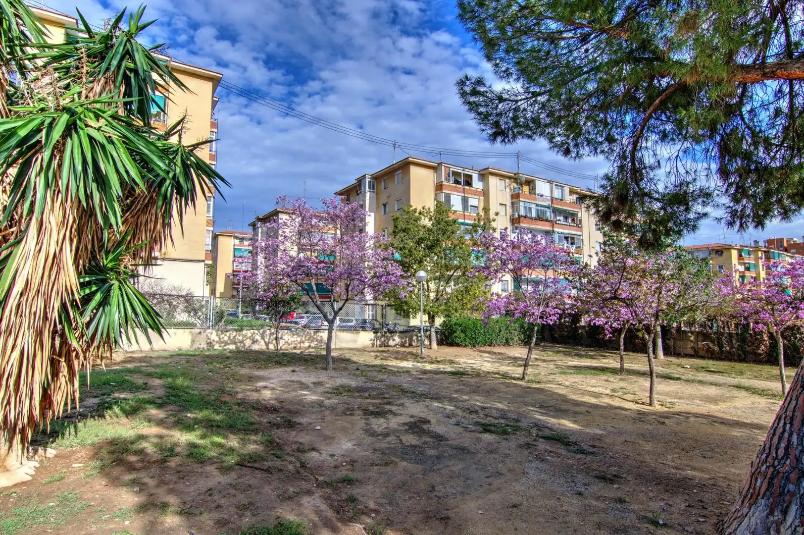 Habitació de lloguer, Alacant