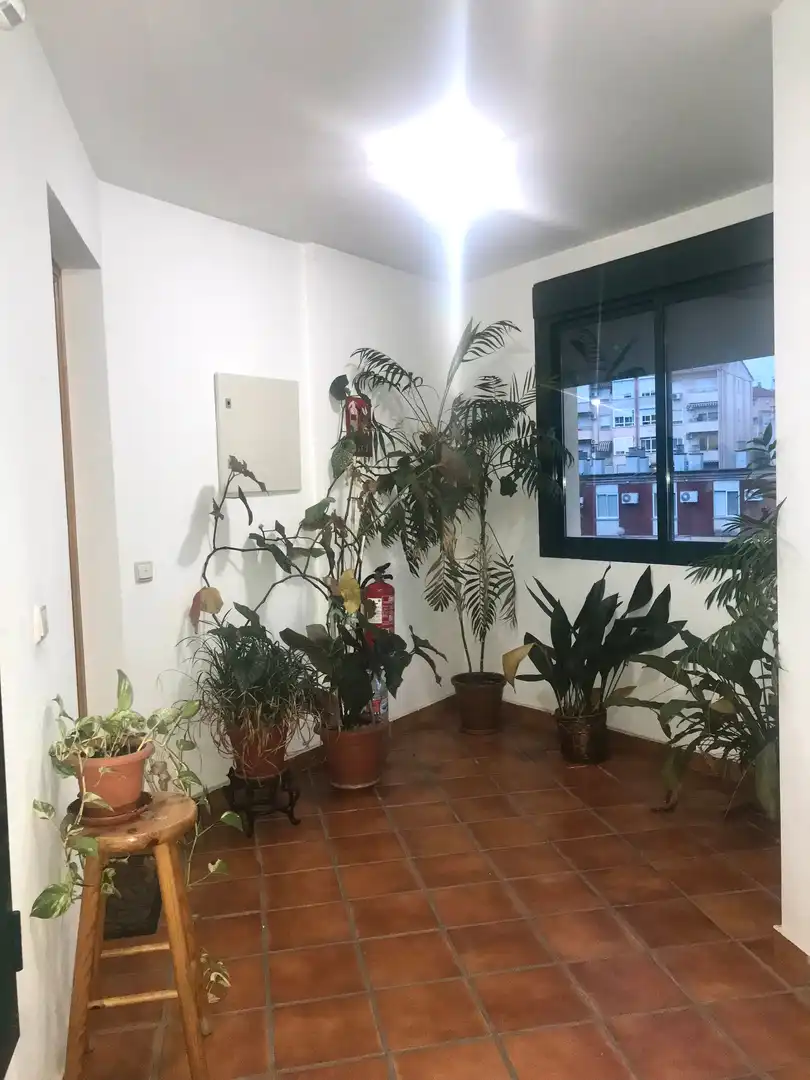 Appartamento 220 m² a Plasencia
