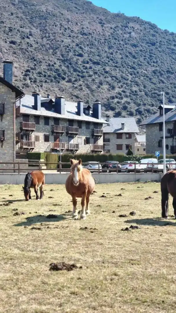 Piso de 60 m² en Esterri d'Àneu