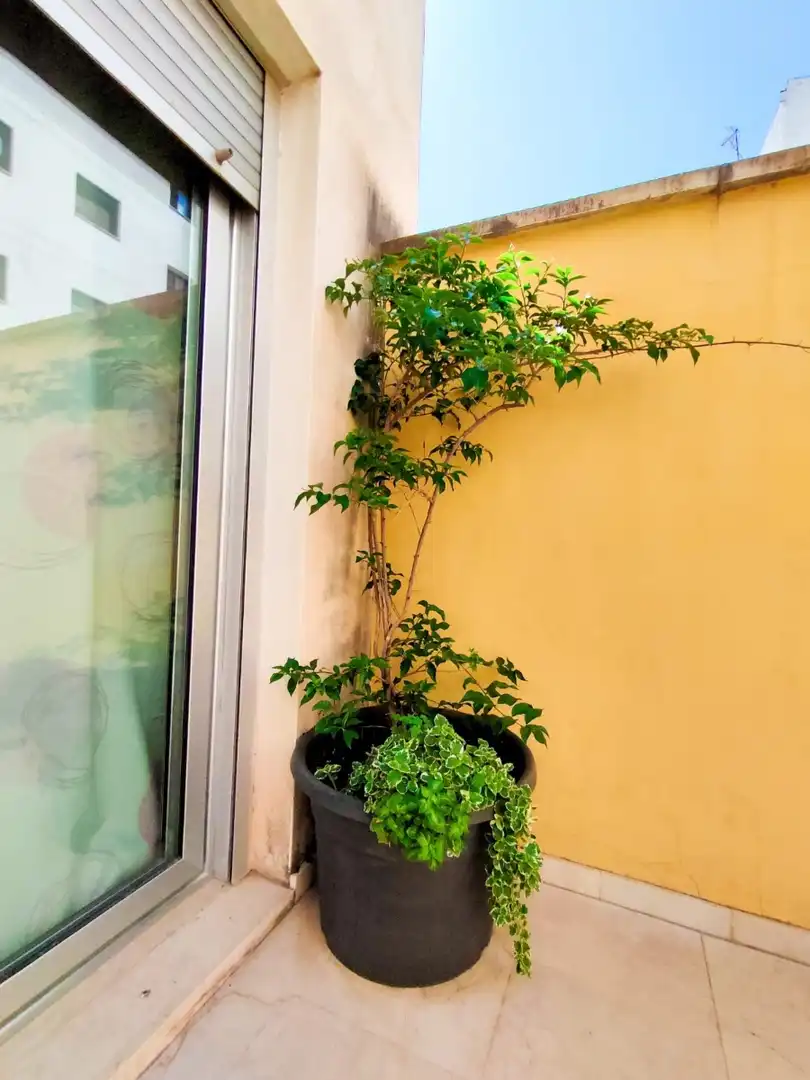 Piso de 65 m² en Alicante
