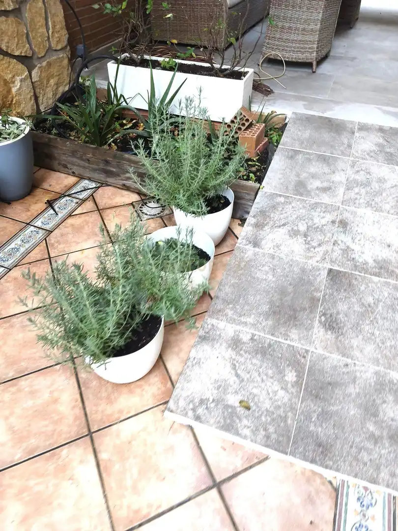 Appartamento 28 m² a Velilla de San Antonio