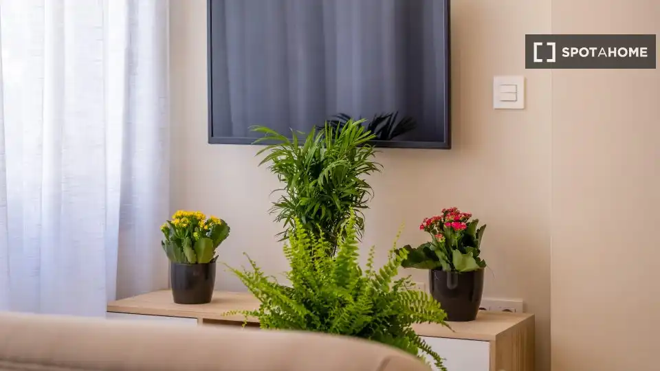 Habitación 53 m², Málaga