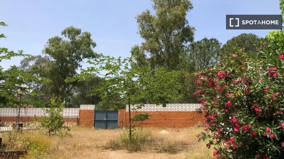 Habitación en alquiler, Córdoba