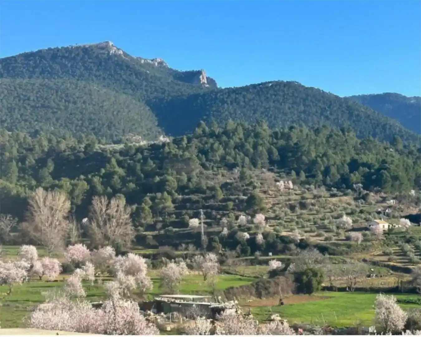 Piso de 118 m² en Siles