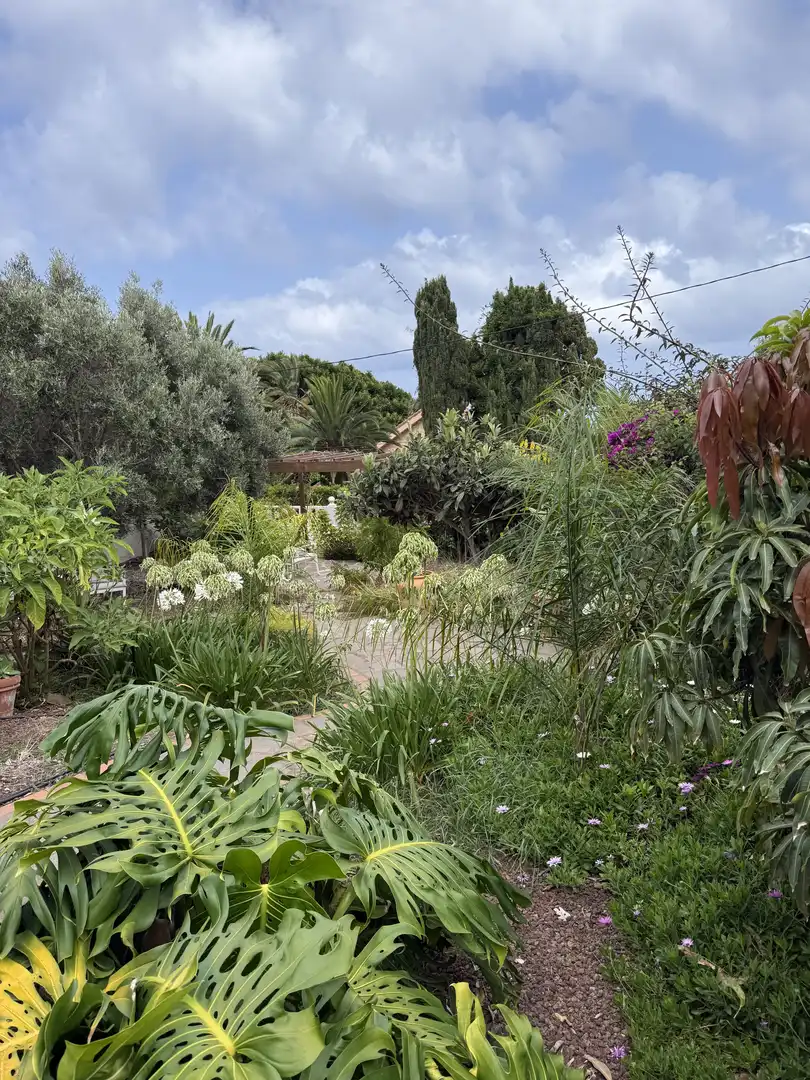 Piso de 170 m² en Tacoronte