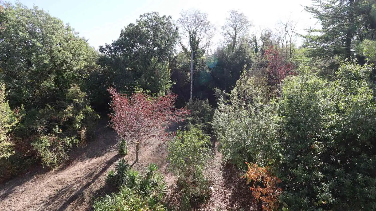 Pis de 30 m² a Moià