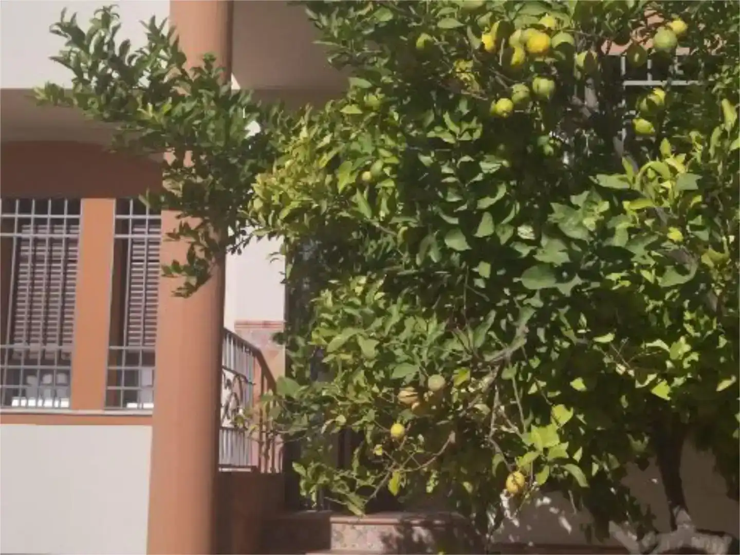 Piso en alquiler, Martos