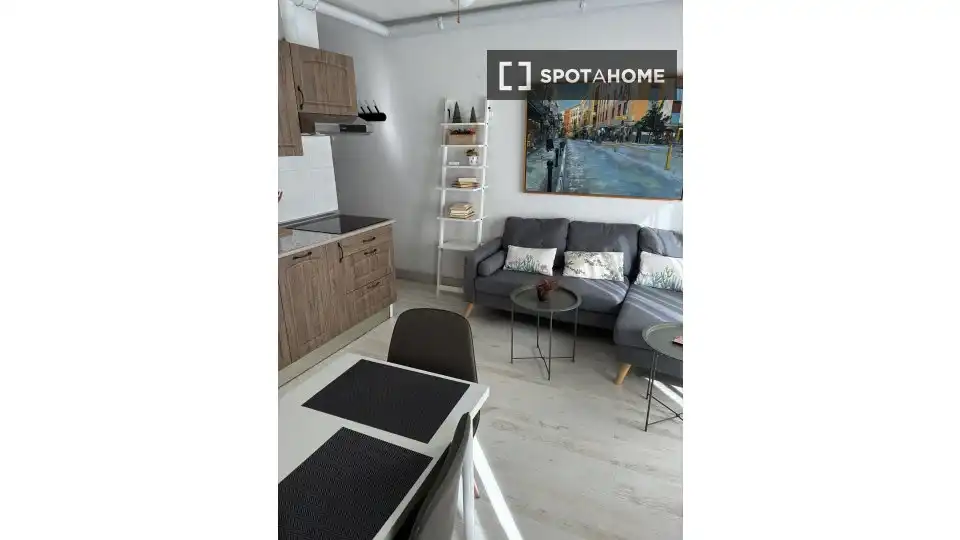 Habitación 44 m², Granada
