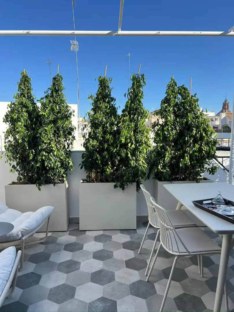 Piso de 77 m² en Sevilla