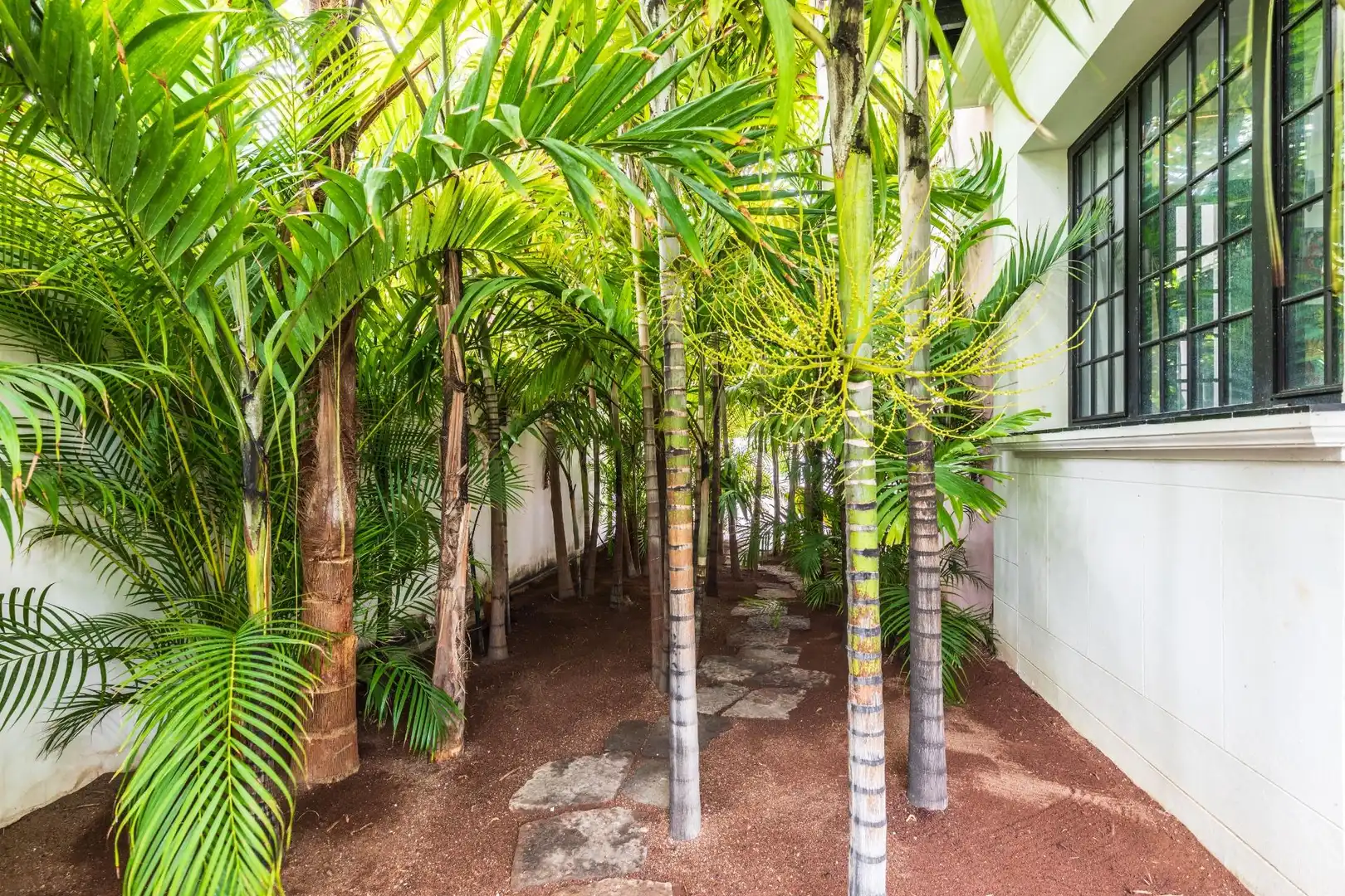 Квартира 390 м² в Las Palmas de Gran Canaria