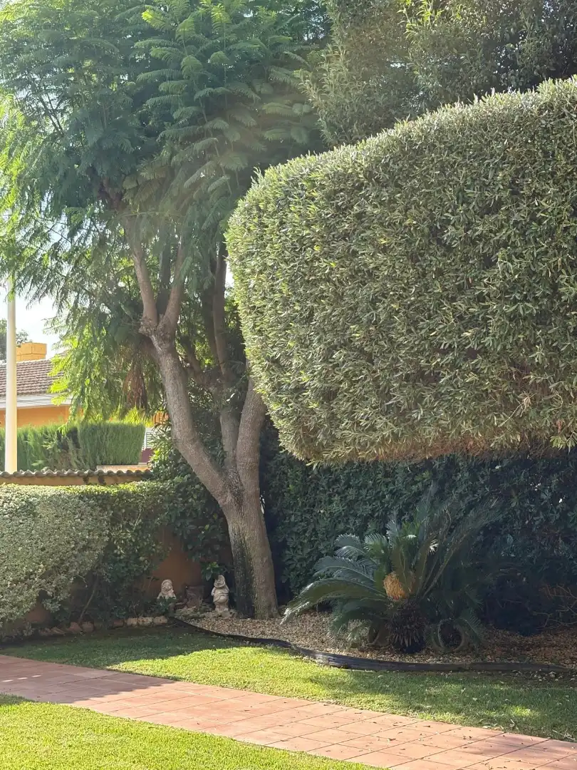 Casa de 330 m² en Riba-roja de Túria
