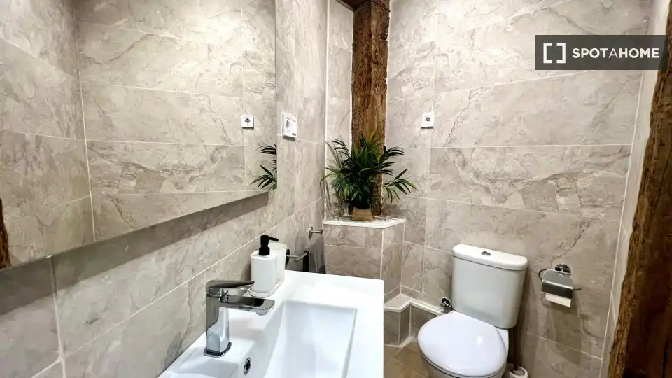 Habitación 29 m², Bilbao