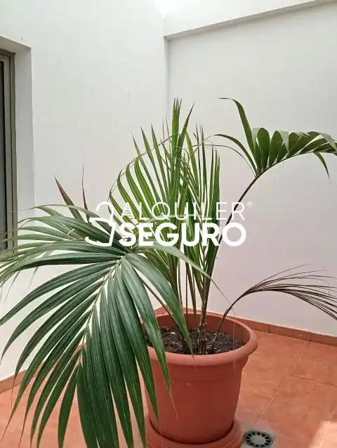 Piso de 147 m² en Telde