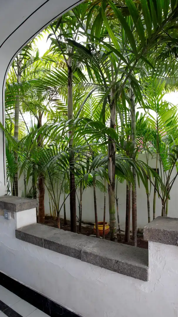 Квартира 390 м² в Las Palmas de Gran Canaria