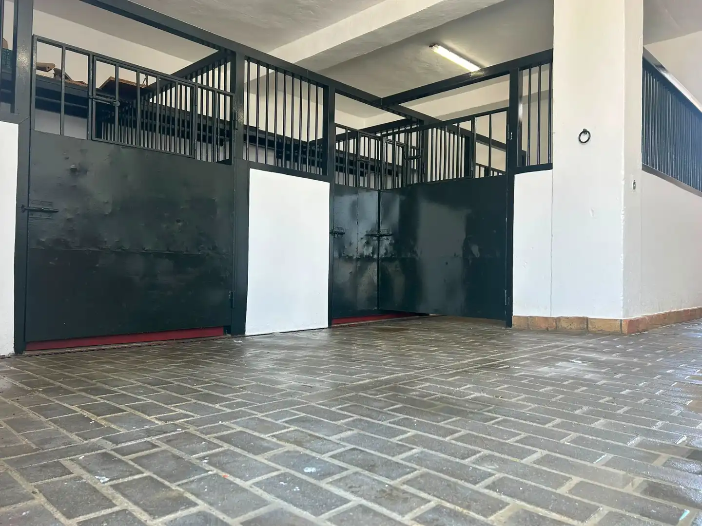 Квартира 400 м² у Almonte