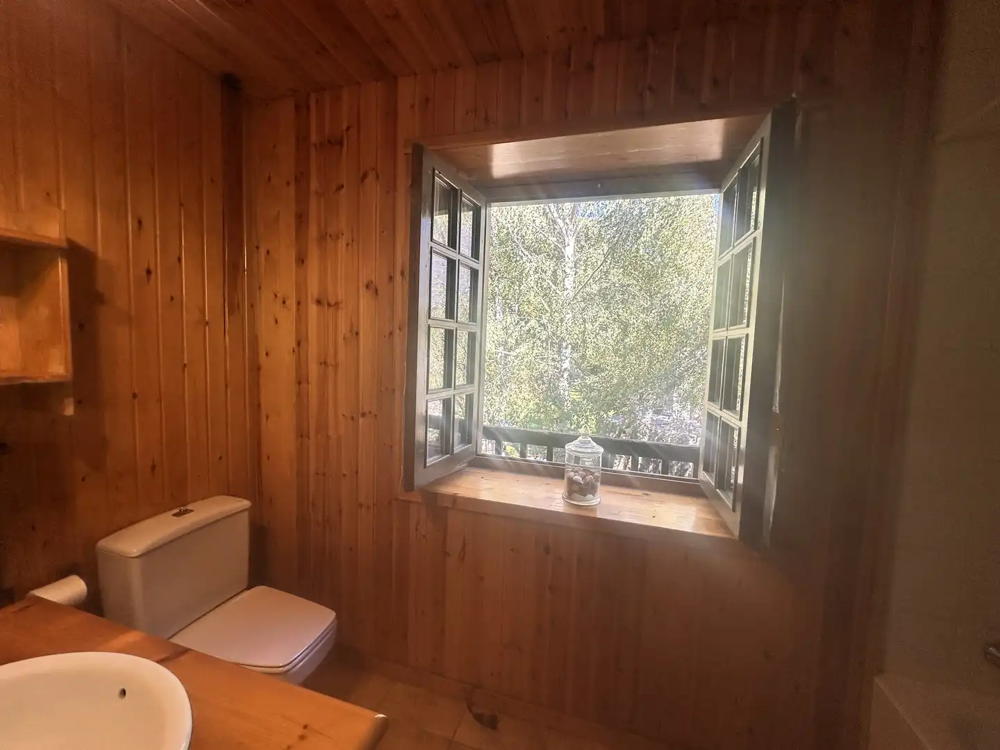 Casa de 150 m² a Viella i Mitjaran