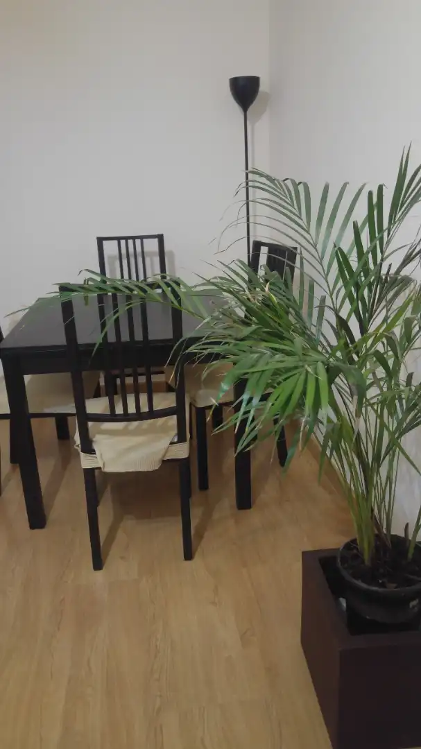 Appartamento 50 m² a Málaga