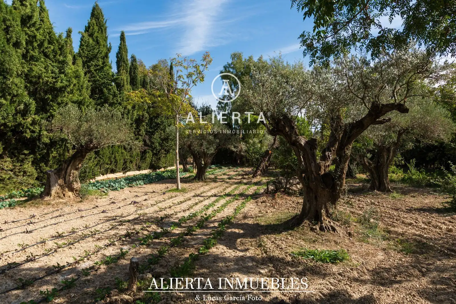 Piso de 800 m² en Zaragoza